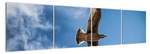 Obraz letícího ptáka (160x40cm)