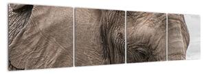 Obraz slona (160x40cm)