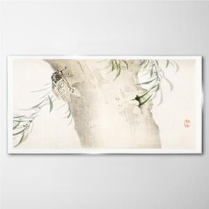 Obraz na skle Obraz na skle Strom větve hmyze listy