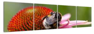Obraz včely na květu (160x40cm)