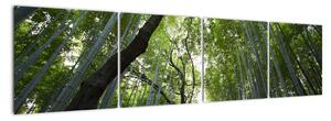 Obraz lesů (160x40cm)