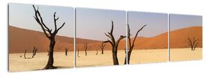 Obraz pouště (160x40cm)