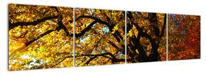 Obraz podzimní krajiny (160x40cm)