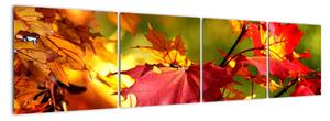 Podzimní listí, obraz (160x40cm)