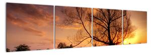 Západ slunce, obrazy (160x40cm)