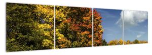 Podzimní krajina, obraz (160x40cm)