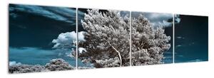 Strom v zimě, obraz na zeď (160x40cm)