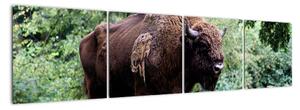 Obraz s americkým bizonem (160x40cm)