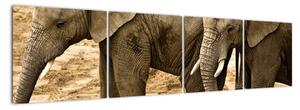 Slon, obraz (160x40cm)