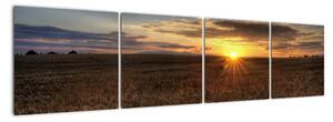Západ slunce na poli - obraz na stěnu (160x40cm)