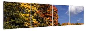 Podzimní stromy - obraz do bytu (160x40cm)