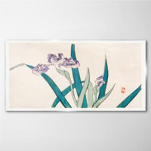 Obraz na skle Obraz na skle Asijské květiny kreslení