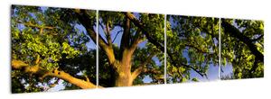 Obraz stromu (160x40cm)