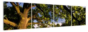 Obrázek stromu - moderní obrazy (160x40cm)