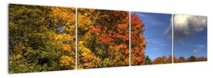 Podzimní stromy - obraz (160x40cm)