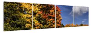 Podzimní stromy - moderní obraz (160x40cm)