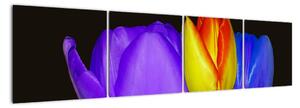 Obraz tulipánů (160x40cm)