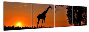 Obraz žirafy v přírodě (160x40cm)