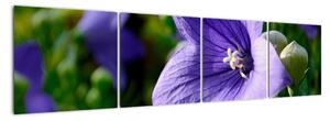 Květiny - obraz (160x40cm)