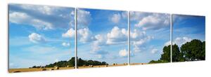 Letní pole - obraz (160x40cm)