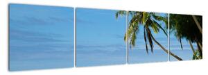 Fotka pláže - obraz (160x40cm)