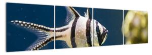 Ryba - obraz (160x40cm)