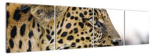 Leopard - obraz (160x40cm)