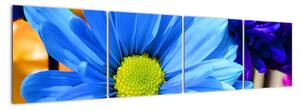 Modrá chryzantéma - obrazy (160x40cm)