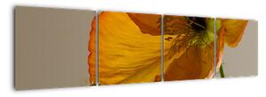 Žlutá květina - obraz (160x40cm)