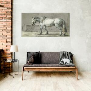 Obraz na skle Obraz na skle Zvířecí kůň Jean Bernard