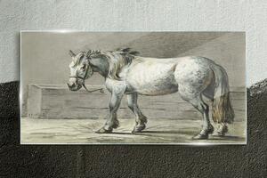 Obraz na skle Obraz na skle Zvířecí kůň Jean Bernard