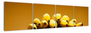 Banány na váze - obraz na zeď (160x40cm)