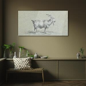 Obraz na skle Obraz na skle Moderní zvířecí koza