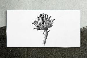Obraz na skle Obraz na skle Kreslení květin