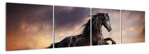 Kůň - obraz (160x40cm)