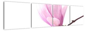 Květ - obraz (160x40cm)