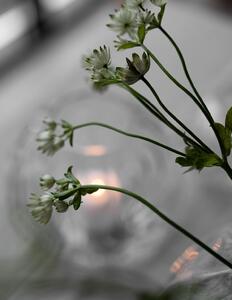 Skleněná váza Malmbäck 22 cm