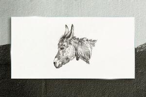 Obraz na skle Obraz na skle Kreslení zvířat oslí
