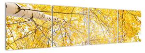 Podzimní listí - moderní obraz (160x40cm)
