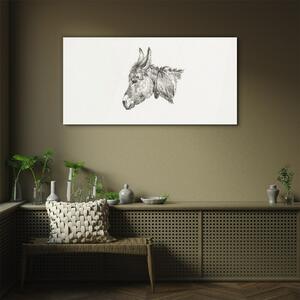 Obraz na skle Obraz na skle Kreslení zvířat oslí