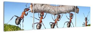 Obraz mravenců (160x40cm)