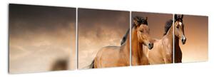 Koně - obraz (160x40cm)