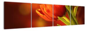 Obraz tulipánů (160x40cm)