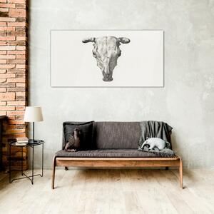 Obraz na skle Obraz na skle Kreslení zvířecí krávy lebka
