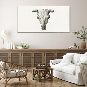 Obraz na skle Obraz na skle Kreslení zvířecí krávy lebka