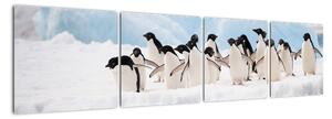 Tučňáci - obraz (160x40cm)