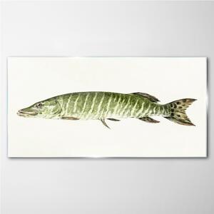 Obraz na skle Obraz na skle Zvířecí ryby