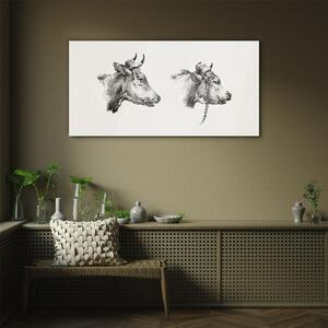 Obraz na skle Obraz na skle Kresba krávy zvířat