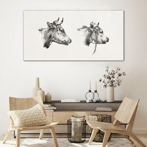 Obraz na skle Obraz na skle Kresba krávy zvířat