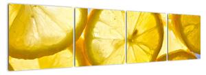Plátky citrónů - obraz (160x40cm)